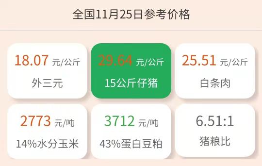 鱼苗价格（11月25日仔猪价格）