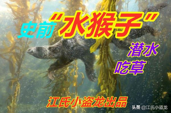 姜氏活骨液多少钱一瓶（水猴子）