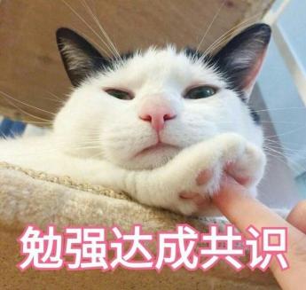 橘猫价格（买猫容易养猫难）