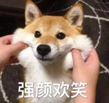 养一条萨摩耶要多少钱（狗界）