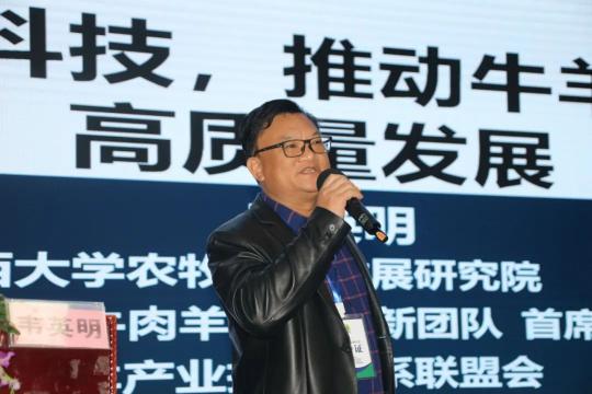 隆林山羊多少钱一只（韦英明）
