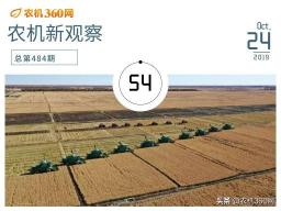 洋马85多少钱（揭秘）