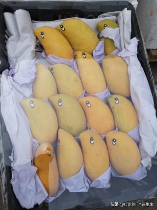 石家庄桥西蔬菜批发市场价格表（河北石家庄桥西农贸市场5月20号部分果蔬批发价格）