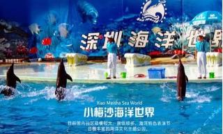 小梅沙小孩门票多少钱（全年最低）