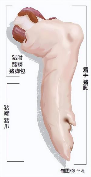 猪蹄价格今日价（烧脑筋）