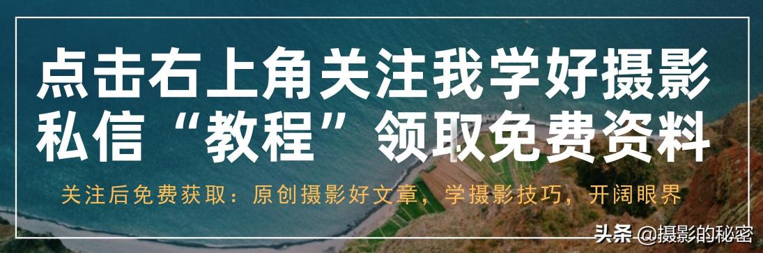 大学生约拍要多少钱（摄影师约拍接单怎么定价）