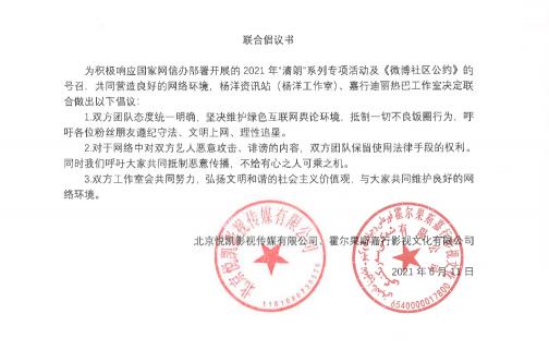 杨洋蒲公英项链多少钱（颜值高）