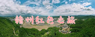 畅意一瓶330毫升多少钱（奋斗百年路）