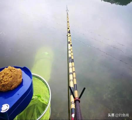 禧玛诺鱼竿价格表（如果买鱼竿仅仅是为了）