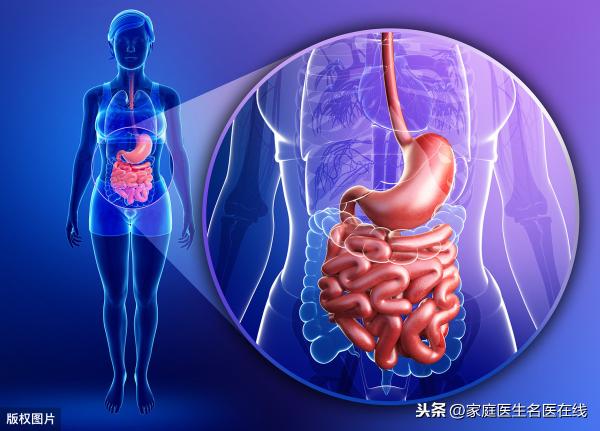检查五脏六腑多少钱（人体五脏出问题）