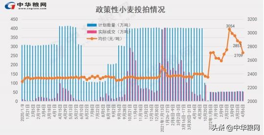 山东小麦价格（4月6日小麦继续回调）
