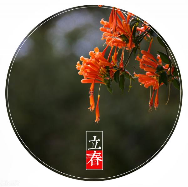 鲜牛记加盟费多少钱（明天立春）