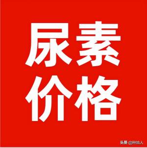 今日全国尿素价格（再涨30）