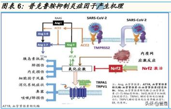 瑞戈非尼在印度多少錢（開拓藥業研究報告）