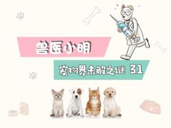 一般给狗狗剪毛多少钱（辟谣）