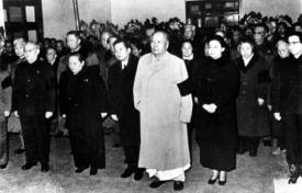 中原跟头鸽多少钱一对（72年）