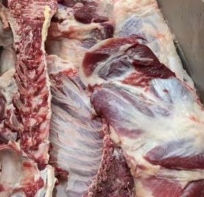 羊肉一般多少钱一斤（山东大哥卖羊汤）