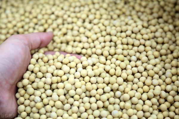 进口大豆价格最新行情（大豆价格上涨无望）