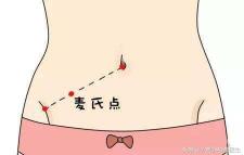 切除阑尾炎大概多少钱（阑尾有什么用）