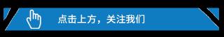 雕梟價(jià)格一般多少錢（下周開園）