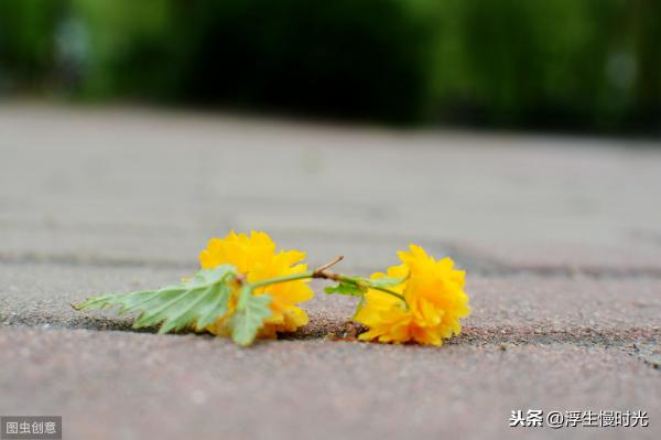 tf专柜多少钱（还好买得起）