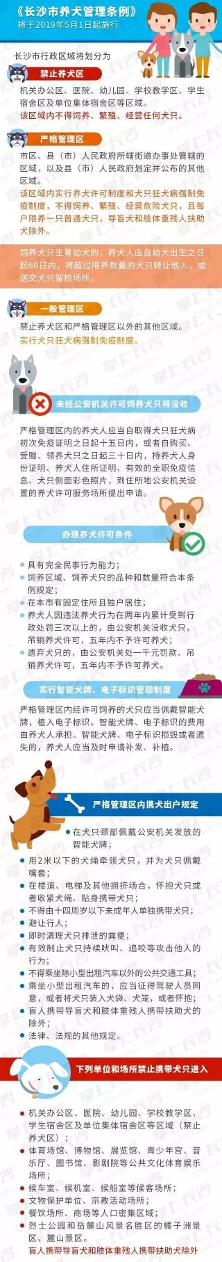 蓝湾牧羊犬多少钱（长沙养狗人速看）