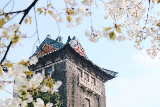 天准植物饮品多少钱（南京大学）