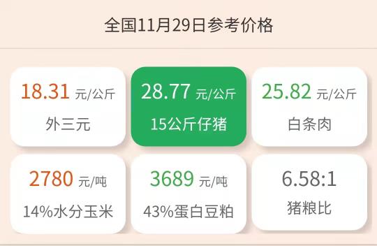 鱼苗价格（今日仔猪价格）