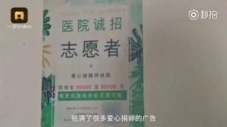 器官黑市阴茎价格（大学城现）