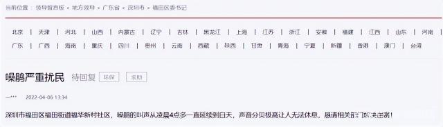 2016年红嘴蓝鹊多少钱（冤魂鸟）