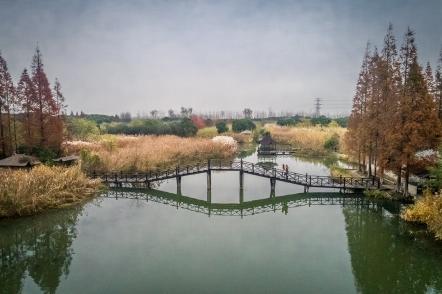华为荣耀5a金色多少钱（常熟居民免费一周）