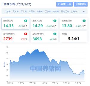 猪易网今日生猪价格(全国生猪价格涨跌表)