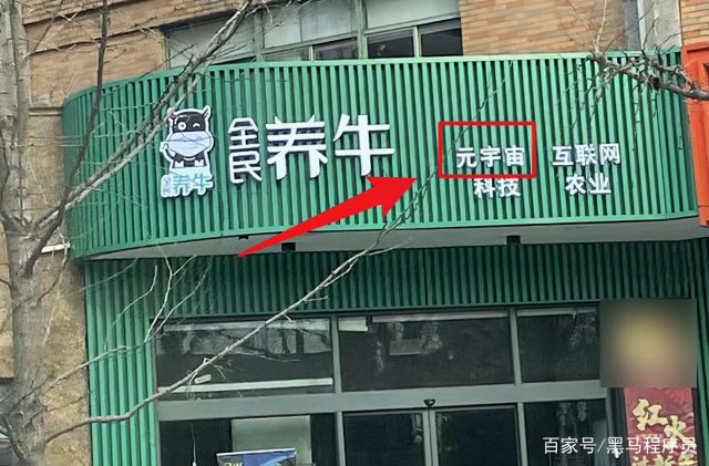一直播一个太空多少钱（我没搞懂元宇宙）