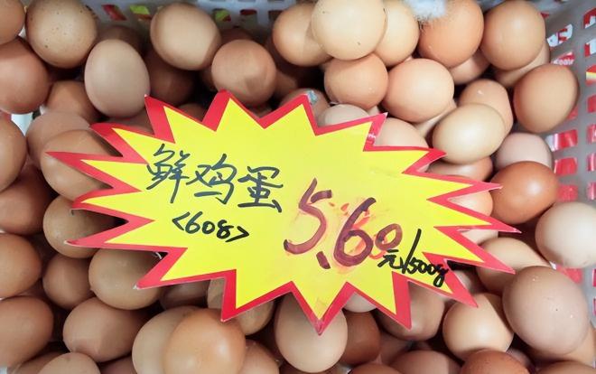 全国鸡蛋价格（尿素又涨了）