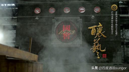 泸州老窖世纪荣耀价格（四大名酒泸州老窖）