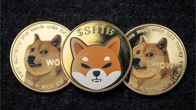狗币行情最新价格（代币大屠杀）