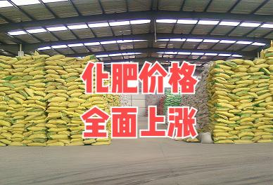 复合肥价格行情（化肥价格全面上调）