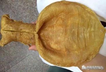 膠原蛋白肽價格（漲知識）