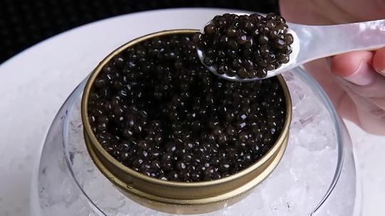 魚子醬的價格（俄羅斯70萬一勺的魚子醬）