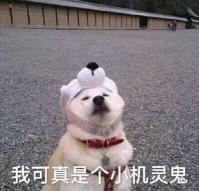 手机信号屏蔽器价格（上车后手机瞬间没信号）