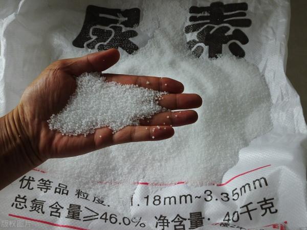 尿素肥料价格（尿素价格又降了）