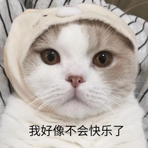 挪威森林猫价格（记住这几种猫）