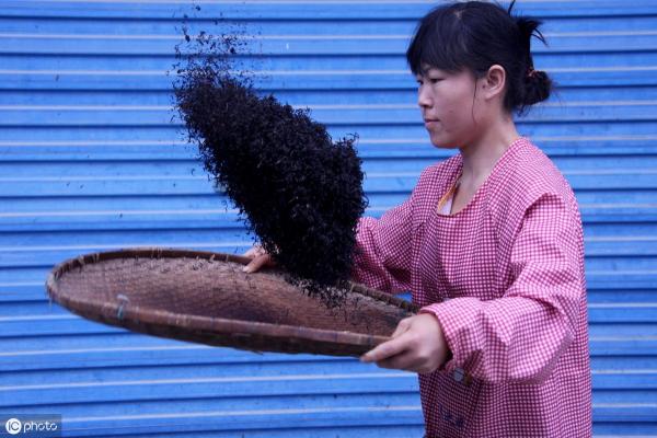 祁门红茶价格表及图片（茶中英豪）