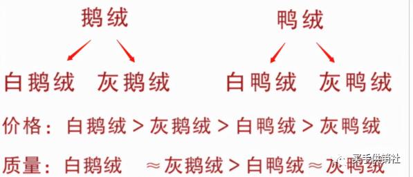 坦博尔羽绒服价格（一篇文章了解羽绒服选购攻略）