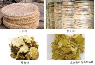 草木犀流浸液片價格（小龍蝦高效養殖）