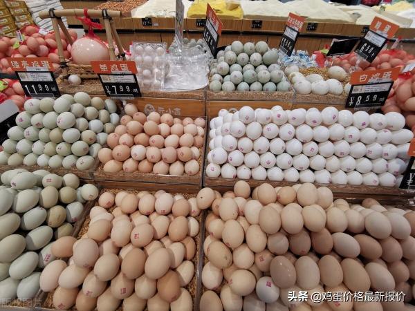 河南雞蛋價格（2022年4月29日雞蛋價格行情早報）