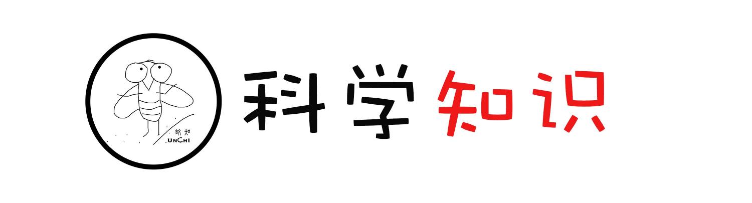 吗啡价格（海洛因成瘾性如此黑暗）