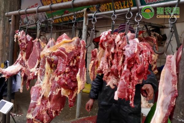 现在羊肉的价格多少钱一斤（今日羊肉价格多少钱一斤）