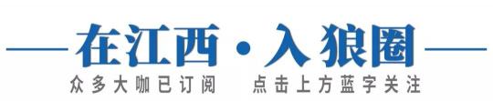 国花瓷西凤酒12年价格（去年80亿的西凤酒）