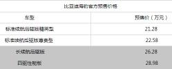 比亚迪新能源汽车价格表（21）